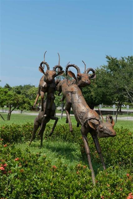 跳躍的飛羚藏品圖，第20張