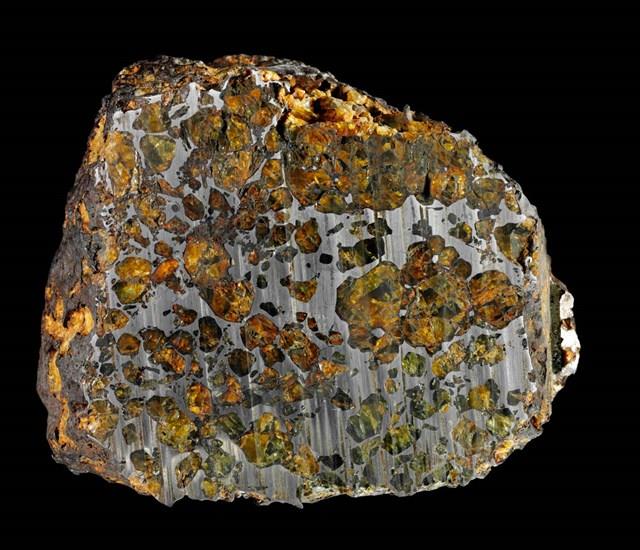 Stony Iron Meteorite Collection Image, Figure 1, Total 3 Figures
