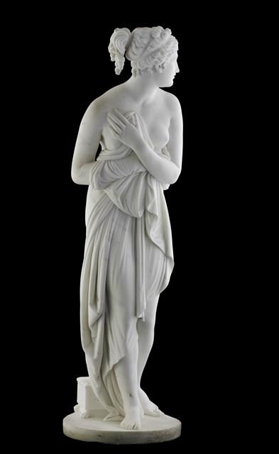 Venus Collection Image, Figure 2, Total 12 Figures