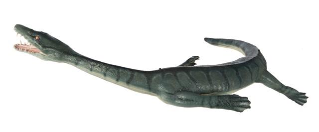 幻龍（模型）藏品圖，第2張