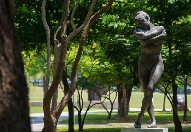 夏娃藏品圖，第11張