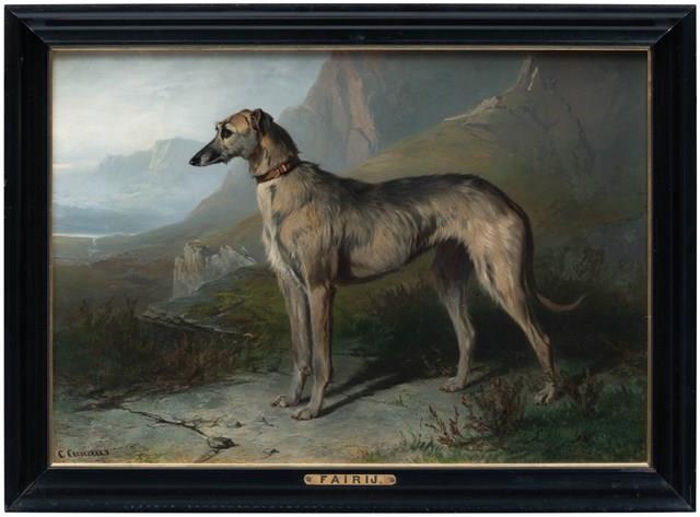 波瑞爾狗藏品圖，第2張