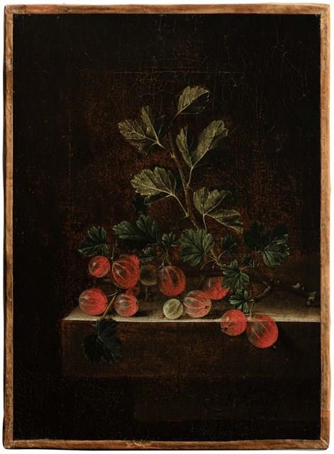 紅醋栗藏品圖，第1張