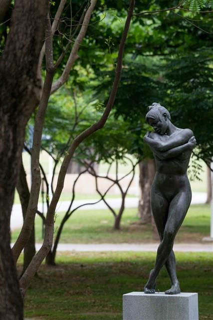 夏娃藏品圖，第12張