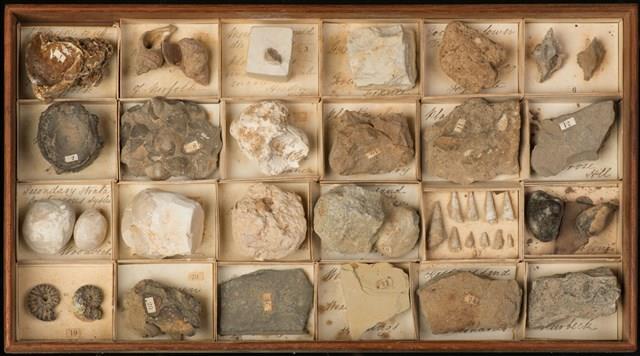 A Collection of Mineral Samples Collection Image, Figure 3, Total 3 Figures