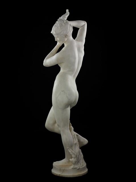 Nymph with a Shell Collection Image, Figure 3, Total 8 Figures