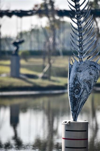 當日捕獲藏品圖，第13張