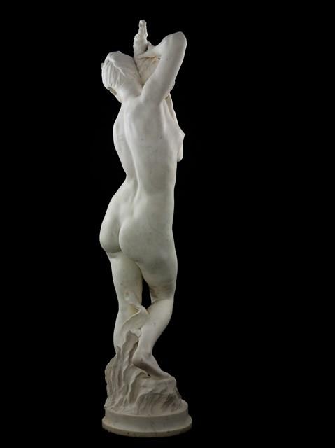 Nymph with a Shell Collection Image, Figure 5, Total 8 Figures