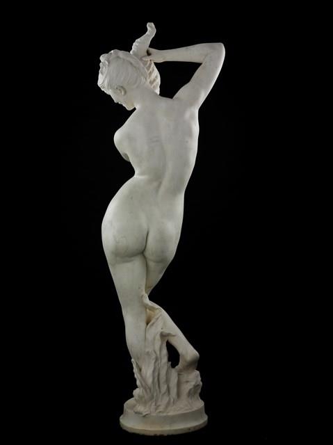 Nymph with a Shell Collection Image, Figure 4, Total 8 Figures