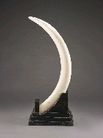 登錄號:CR04800201之藏品圖像，檔名:CR04800201_P002.JPG