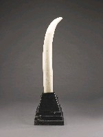 登錄號:CR04800201之藏品圖像，檔名:CR04800201_P004.JPG