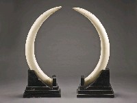 登錄號:CR04800201之藏品圖像，檔名:CR04800201_P005.JPG