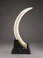 登錄號:CR04800202之藏品圖像，檔名:CR04800202_P002.JPG