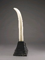 登錄號:CR04800202之藏品圖像，檔名:CR04800202_P004.JPG