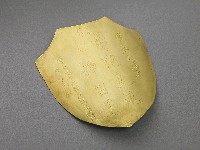 登錄號:CR05200600之藏品圖像，檔名:CR05200600_P003.JPG
