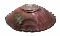 登錄號:CR09301200之藏品圖像，檔名:CR09301200-03.jpg