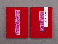 登錄號:DC07300112之藏品圖像，檔名:DC07300112_P001.JPG