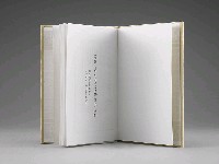 登錄號:DC08400203之藏品圖像，檔名:DC08400203_P004.JPG