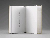 登錄號:DC08400206之藏品圖像，檔名:DC08400206_P004.JPG