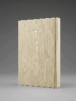 登錄號:DC08400209之藏品圖像，檔名:DC08400209_P003.JPG