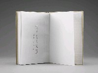 登錄號:DC08400209之藏品圖像，檔名:DC08400209_P004.JPG