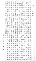 登錄號:PT07802300之藏品圖像，檔名:PT07802300.JPG