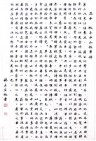 登錄號:PT07805900之藏品圖像，檔名:PT07805900.JPG