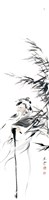 登錄號:之藏品圖像，檔名:PT09711700_P001.jpg