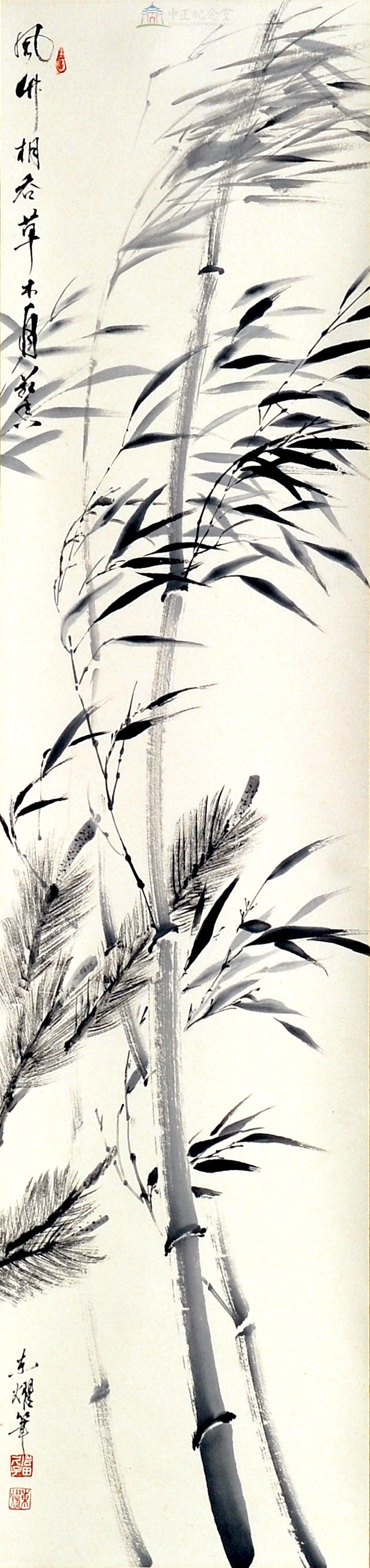 大圖瀏覽