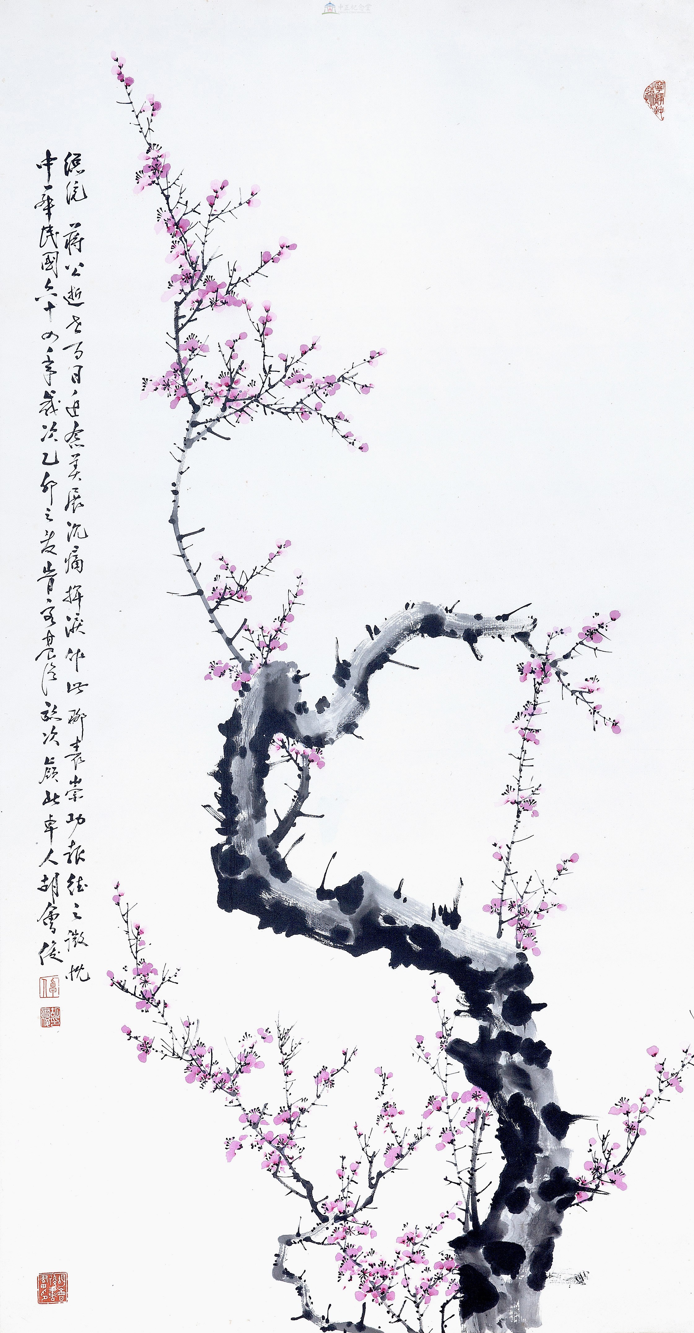 大圖瀏覽