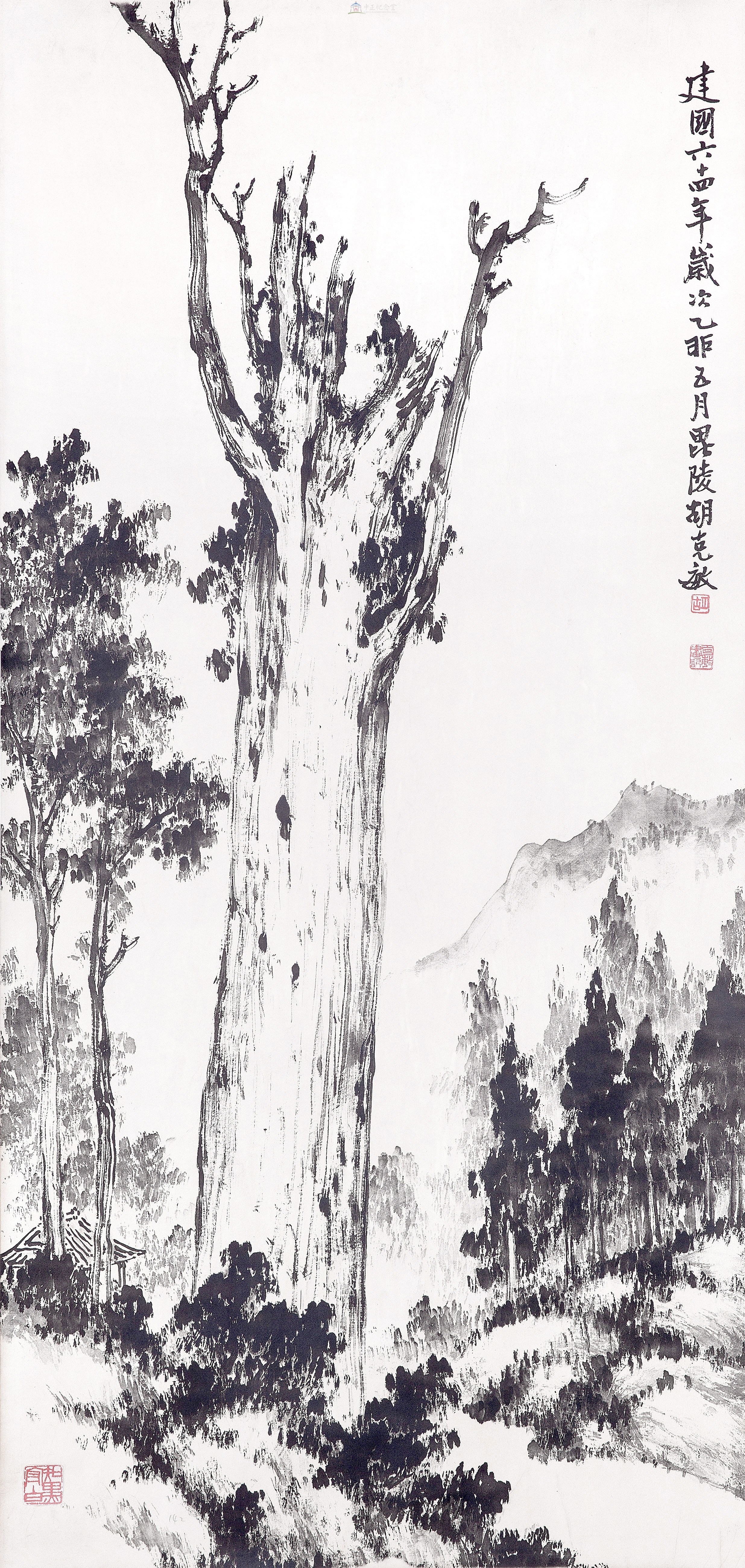 大圖瀏覽