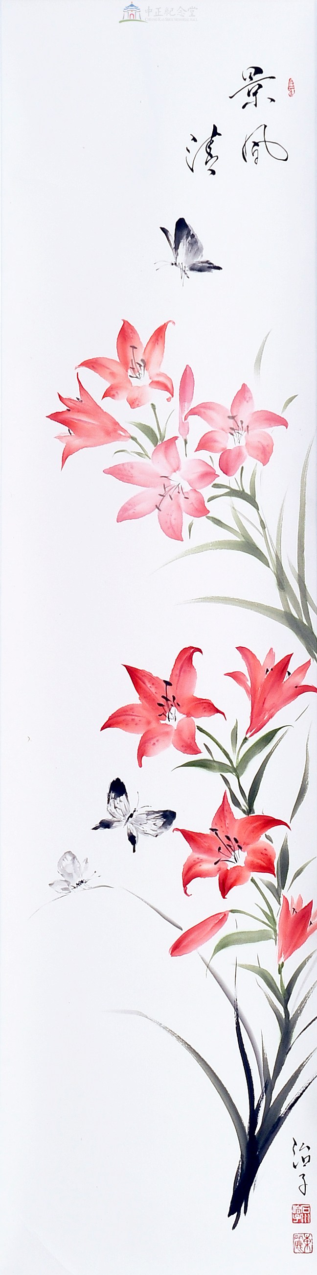 大圖瀏覽