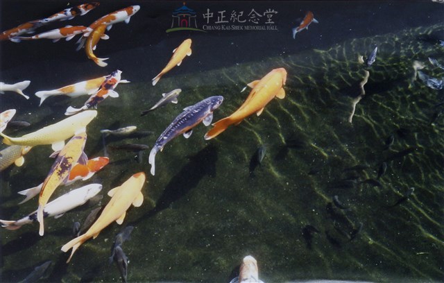 遠觀近看遊中正(心之所向)藏品圖，第1張