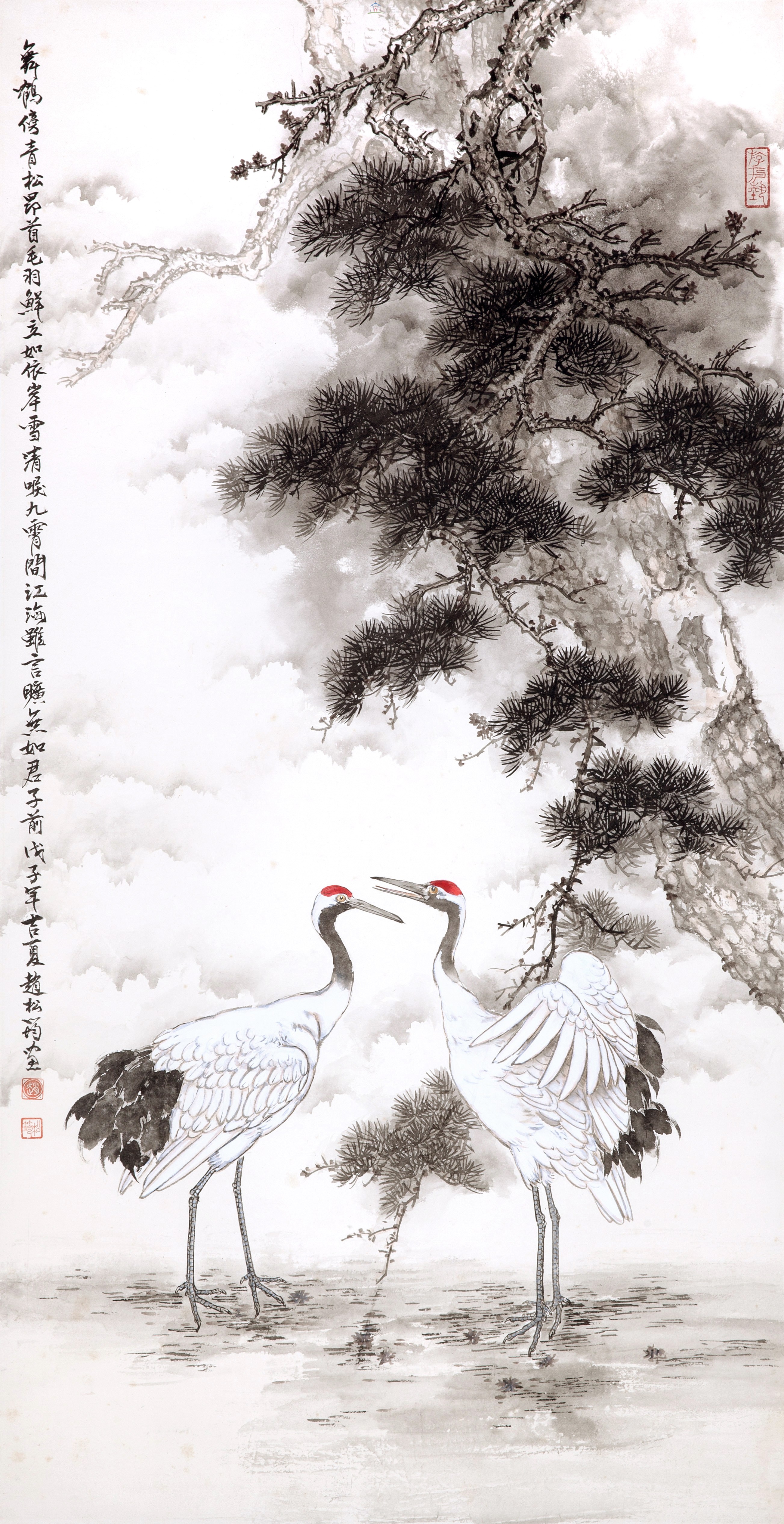 大圖瀏覽
