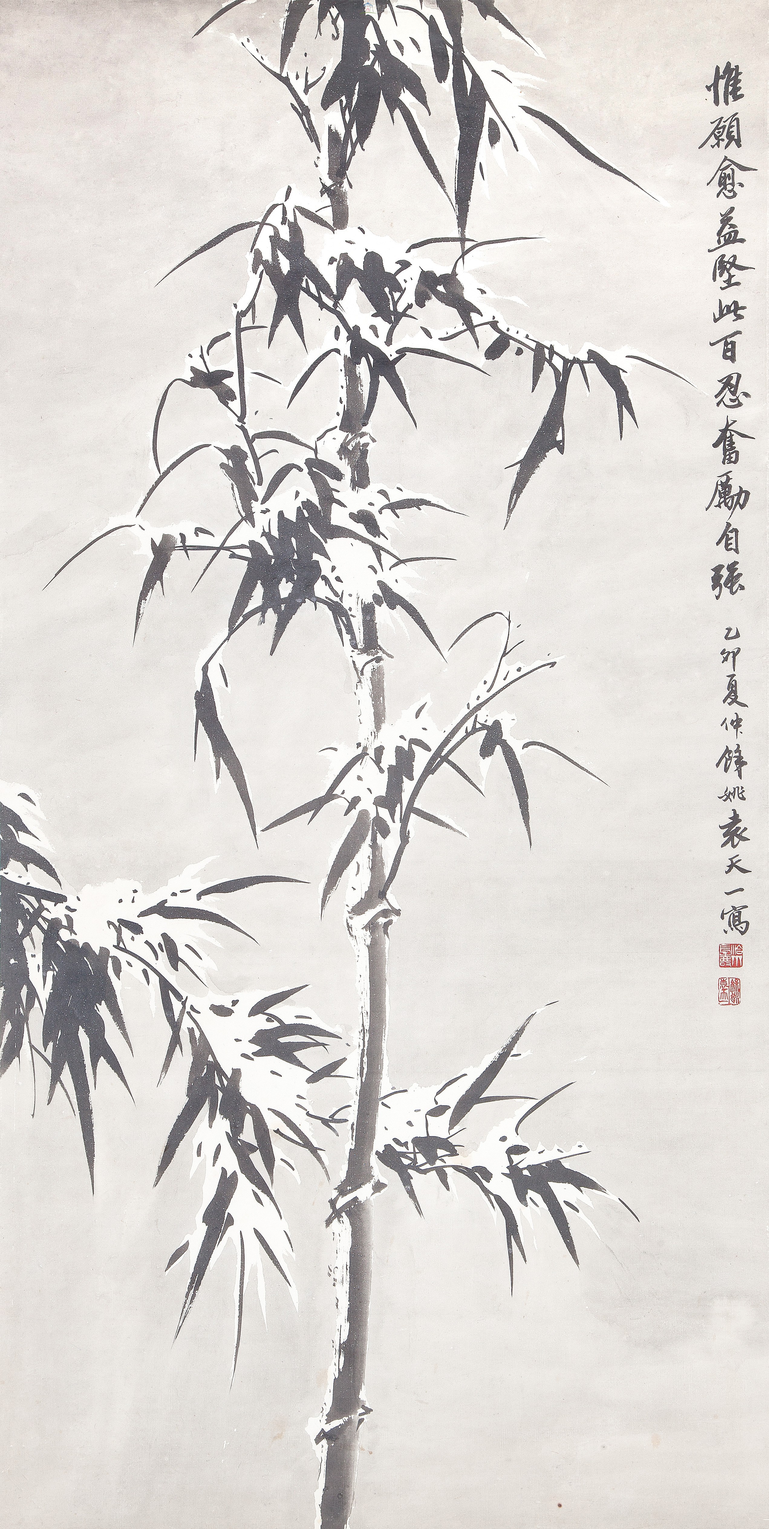 大圖瀏覽