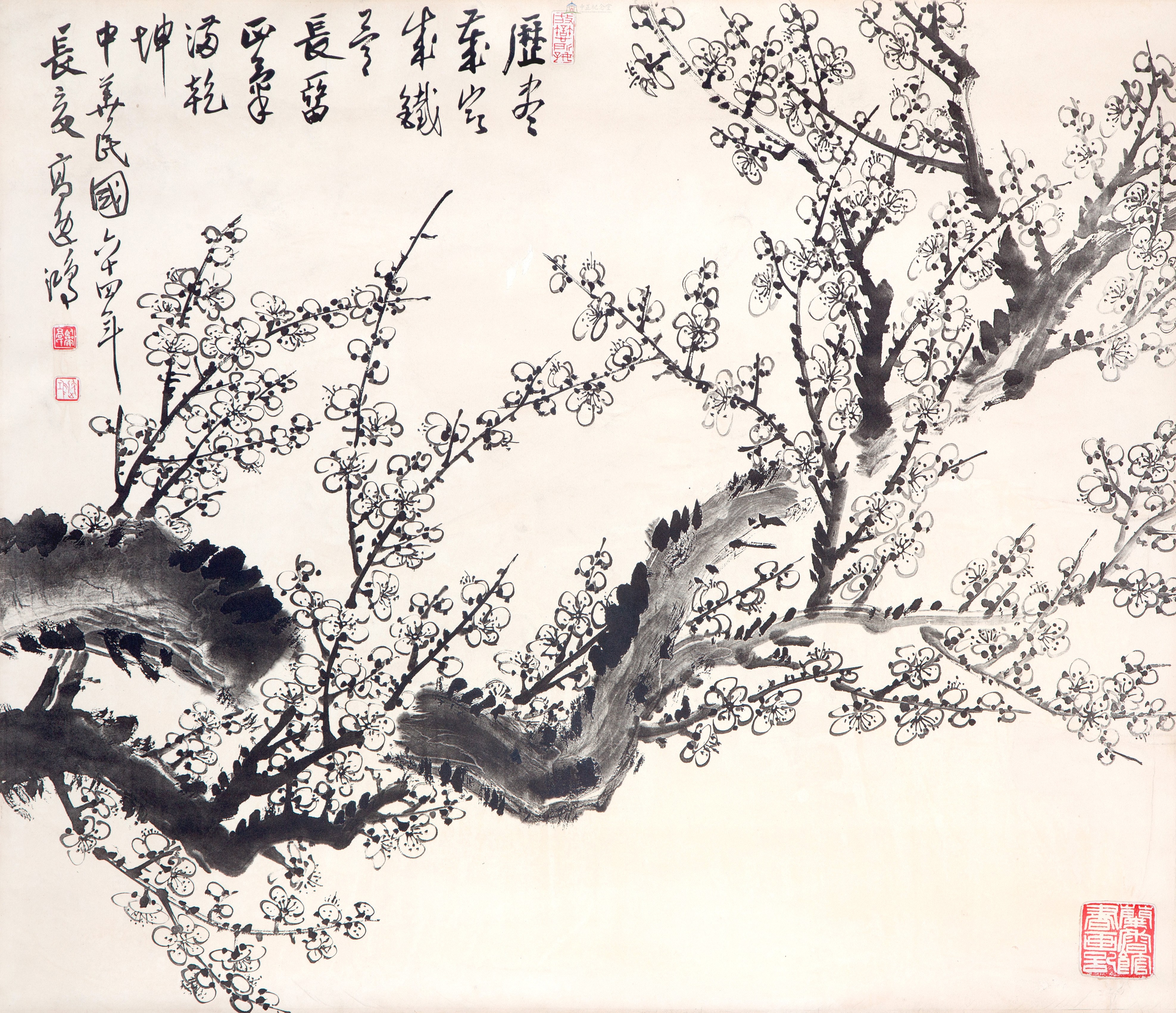 大圖瀏覽