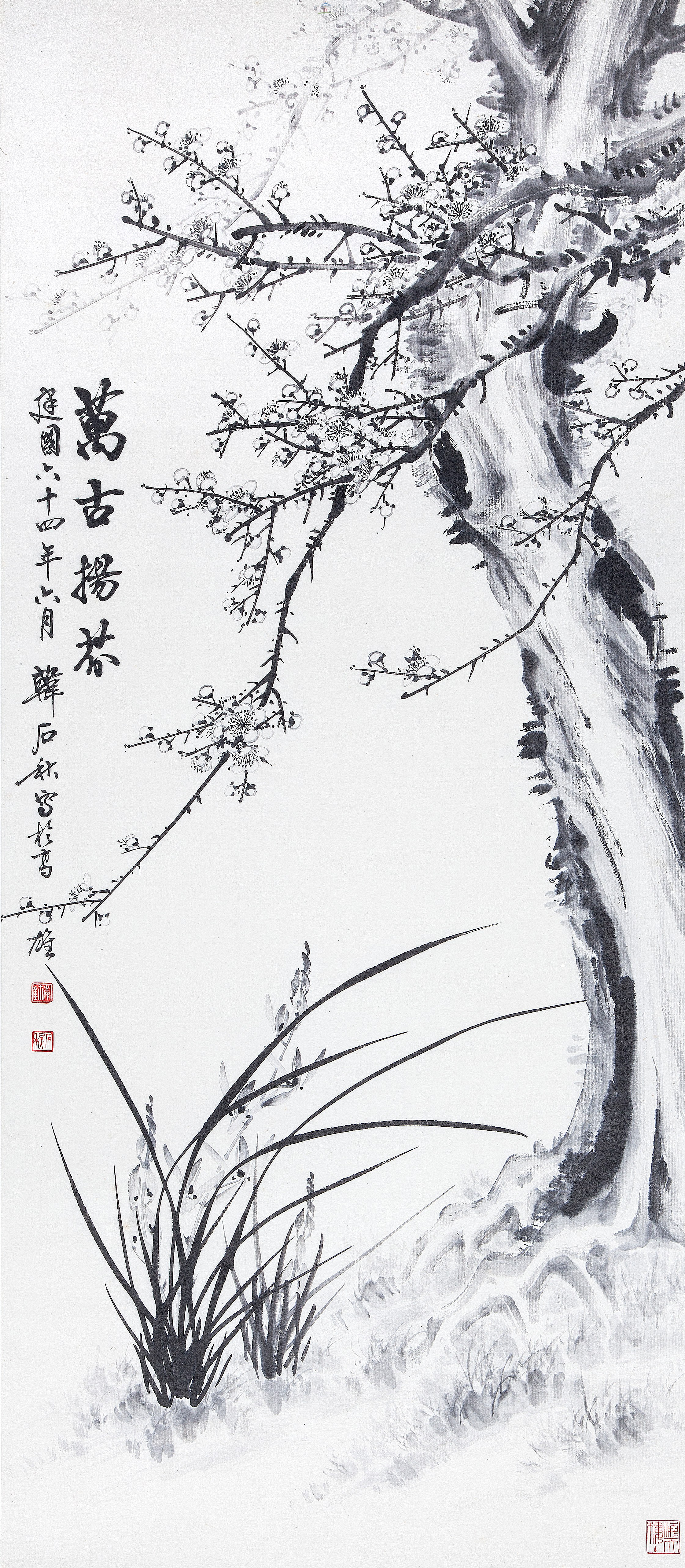 大圖瀏覽