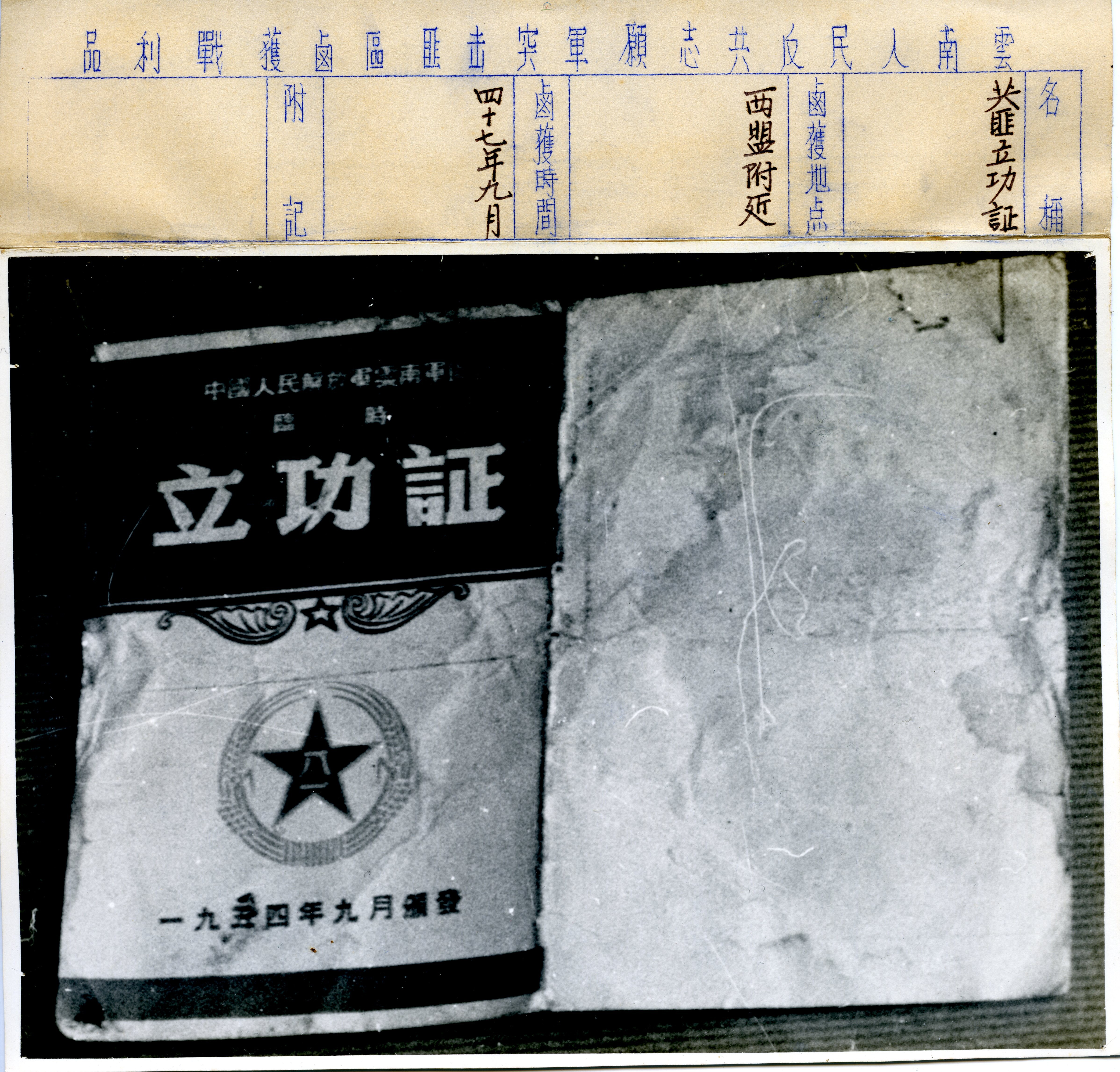 大圖瀏覽