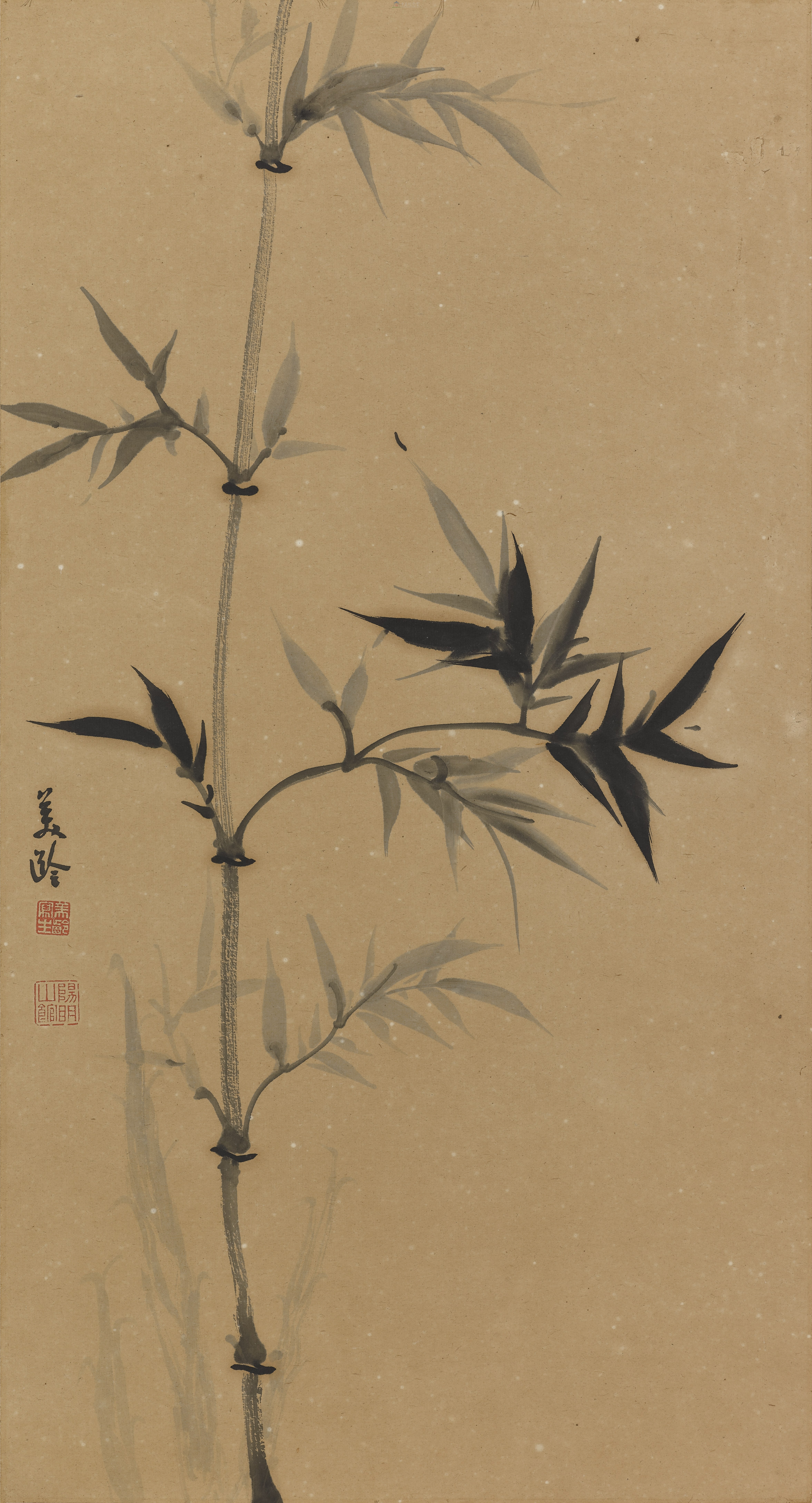 大圖瀏覽