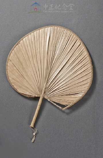 棕蒲扇藏品圖，第3張