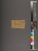 香港中國海關九龍辦事處書函藏品圖，第1張