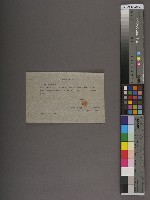 騰衝關稅務司書函藏品圖，第10張