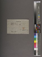 騰衝關稅務司書函藏品圖，第11張