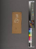 龍州關稅務司書函藏品圖，第2張