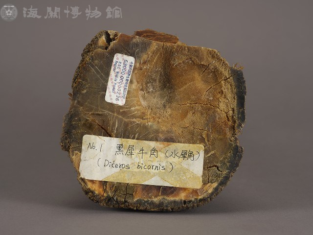 犀牛角（黑）藏品圖，第6張