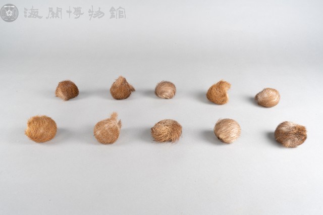 麝香粒藏品圖，第1張