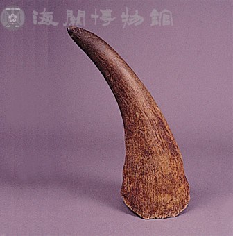 犀牛角（白）藏品圖，第7張