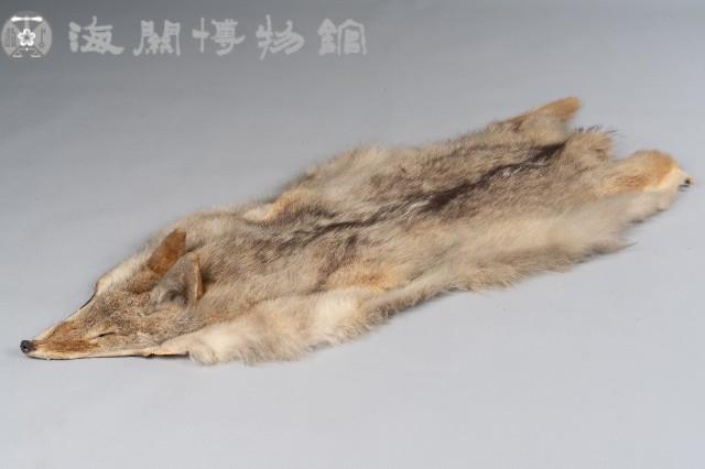 赤狐皮藏品圖，第1張