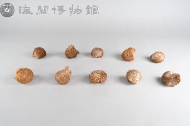麝香粒藏品圖，第1張