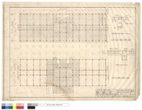 PLAM OF BEAM RIBS藏品圖，第1張